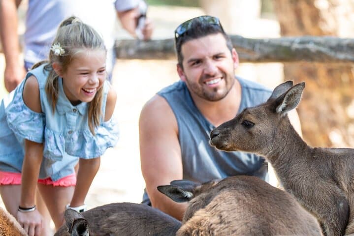 Behind-the-Rope Kangaroo Experience at Healesville Sanctuary photo 2