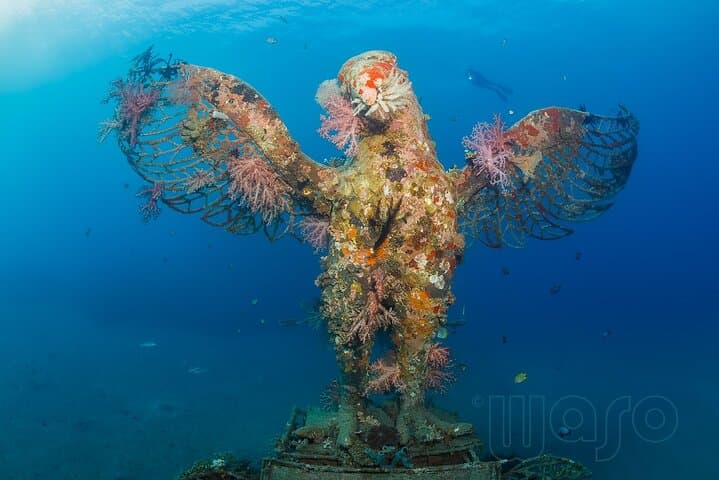 Try Dive Program at Biorock Pemuteran — Intro Scuba on Bali's Restored Reefs photo 2