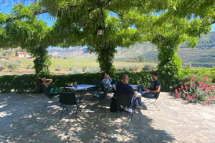 Half-Day Douro Valley Tour: Winery Tasting, Scenic Views & 1-Hour Cruise photo 4