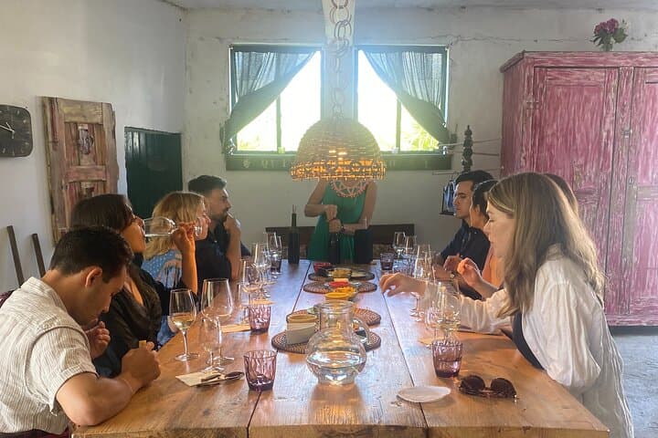 Half-Day Douro Valley Tour: Winery Tasting, Scenic Views & 1-Hour Cruise photo 6