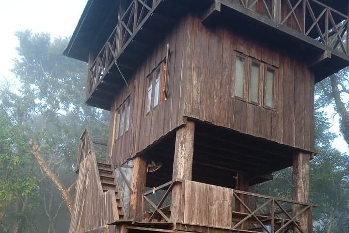 Chitwan Tower Night Stay: 3-Night Jungle Safari & Rapti River Canoe