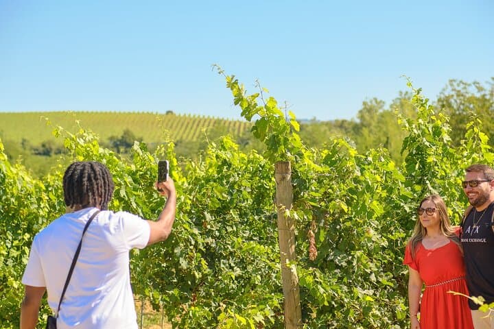 Private Full-Day Chianti Tour from Florence with Optional Winery Lunch