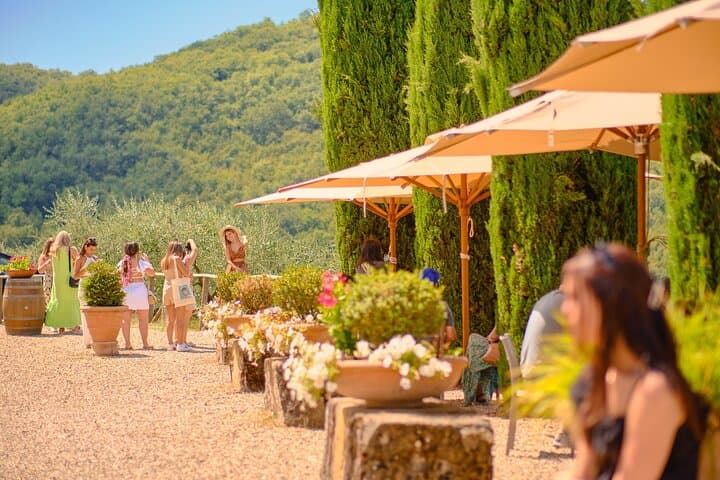 Half-Day San Gimignano Hills Picnic & Chianti Wine Tasting from Florence