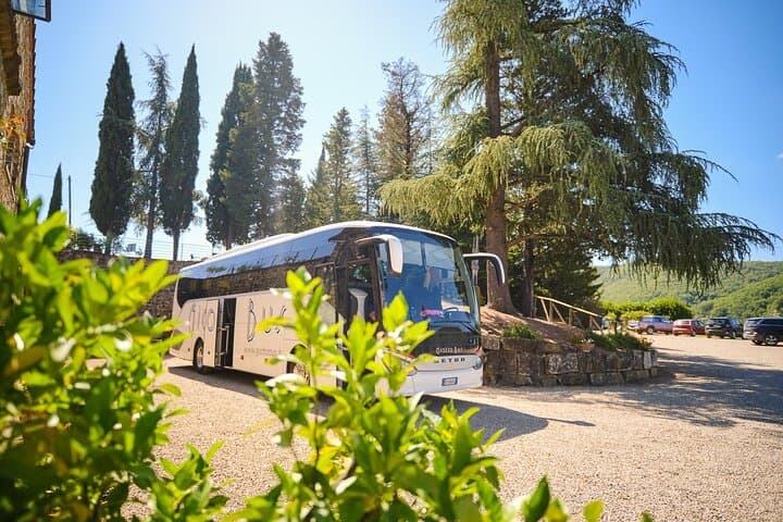 Chianti Vineyards Escape from Florence — Two-Winery Tuscan Wine Tasting Tour photo 6
