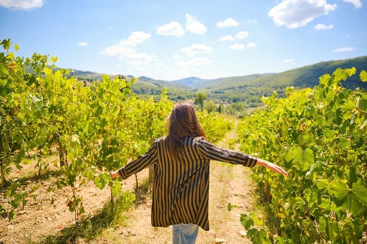 Half-Day San Gimignano Hills Picnic & Chianti Wine Tasting from Florence photo 3