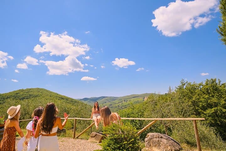 Private Full-Day Chianti Tour from Florence with Optional Winery Lunch photo 2