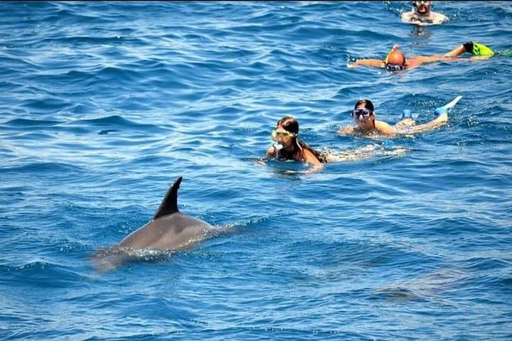 Full-Day Red Sea Dolphin Cruise and Snorkeling from Hurghada photo 3