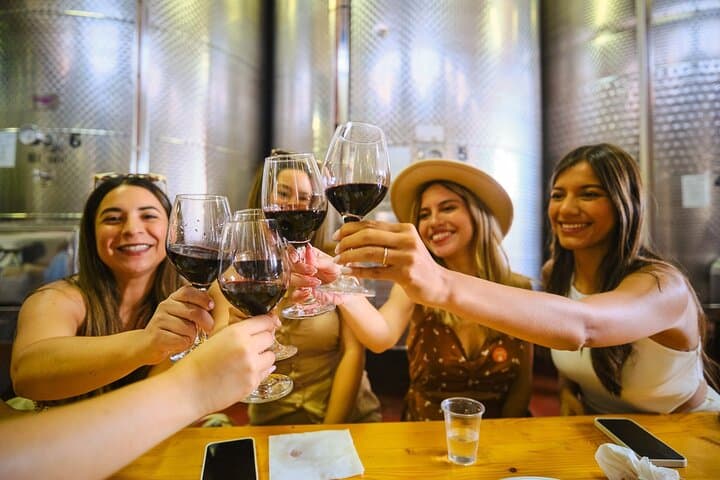 Chianti Vineyards Escape from Florence — Two-Winery Tuscan Wine Tasting Tour photo 5