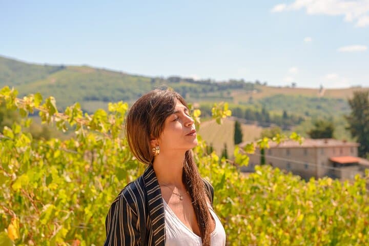 Half-Day Chianti Private Tour from Florence — Wine, Villages & Views