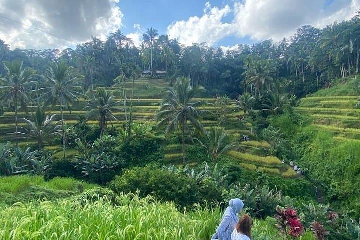 Barong and Volcano Day Tour: Ubud, Tegallalang & Mount Batur Views photo 3