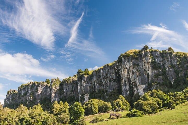 LOTR Trollshaws & Waitomo Glowworm Cave Day Tour (12‑Hour)