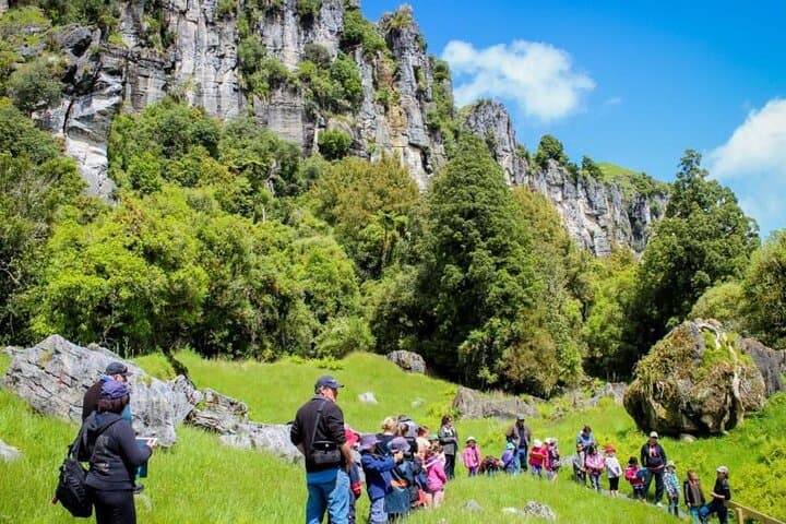 LOTR Trollshaws & Waitomo Glowworm Cave Day Tour (12‑Hour) photo 2