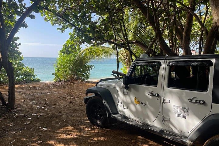 Private Taxi from Ceiba Ferry to San Juan — Scenic, Flexible Transfer photo 4