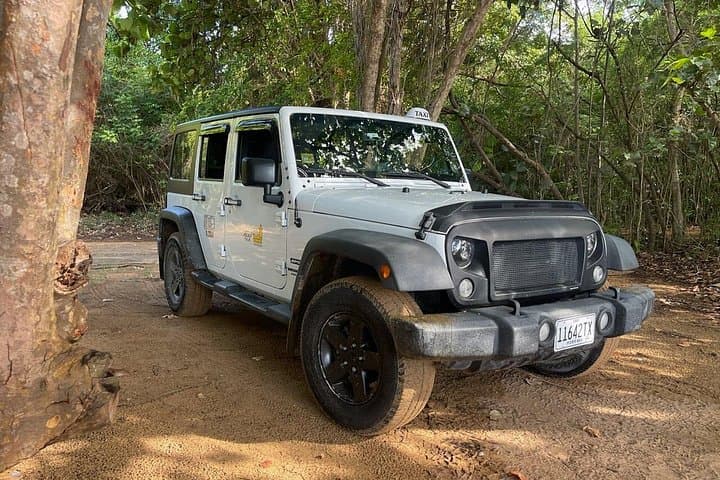 Private Taxi from Ceiba Ferry to San Juan — Scenic, Flexible Transfer photo 1