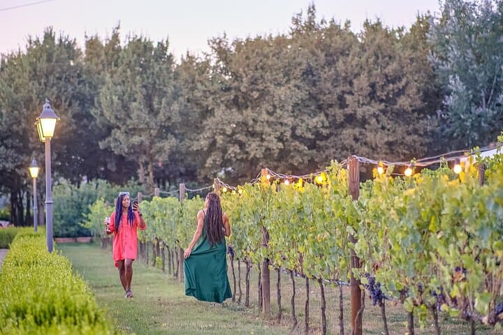 Chianti Vineyard Wine Tasting and Dinner: Semi-Private Tour from Florence
