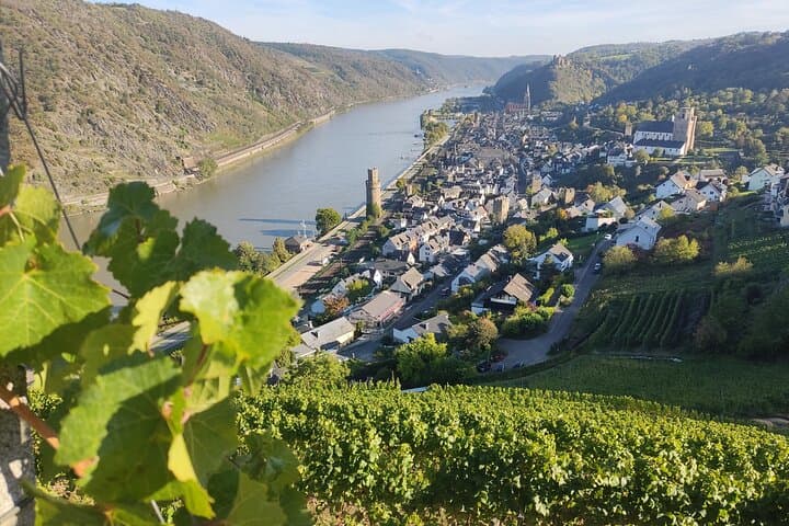 Romantic Rhine Valley Private Day Trip: River Cruise, Castles & Wine Tasting from Frankfurt