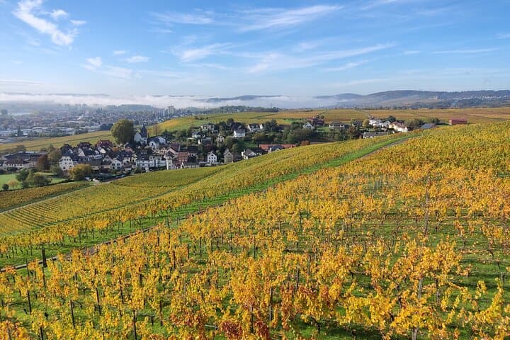 Romantic Rhine Valley Private Day Trip: River Cruise, Castles & Wine Tasting from Frankfurt photo 3