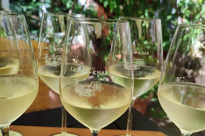 Romantic Rhine Valley Private Day Trip: River Cruise, Castles & Wine Tasting from Frankfurt photo 4