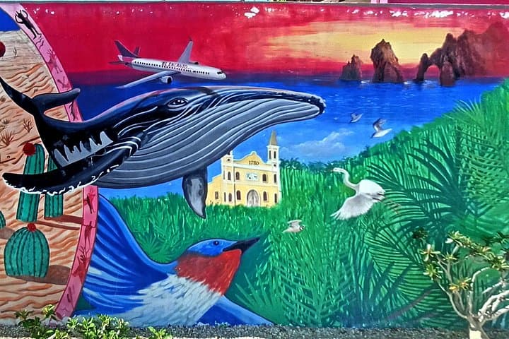 Self-Guided Treasure Hunt in San José del Cabo — Family Walking Mystery Tour photo 3