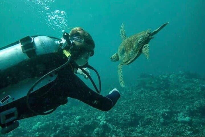 Introductory Beach Scuba Dive in Hilo — Try Scuba Without Certification photo 6