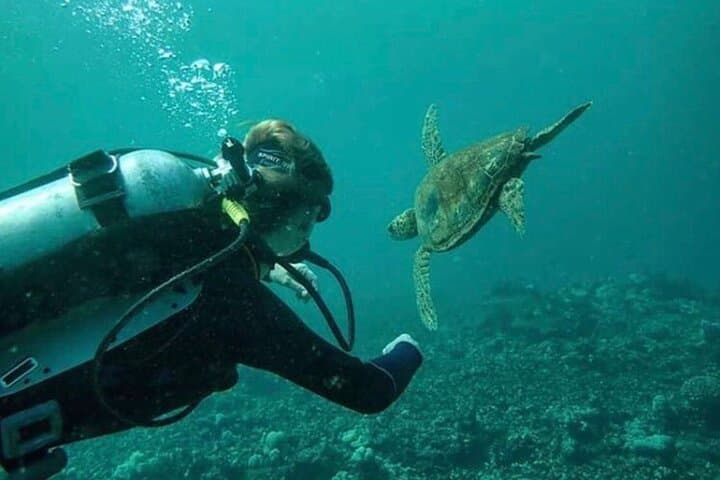 Two-Tank Shore Dive at Sea Turtle Cove — Hilo Guided Scuba Adventure photo 4