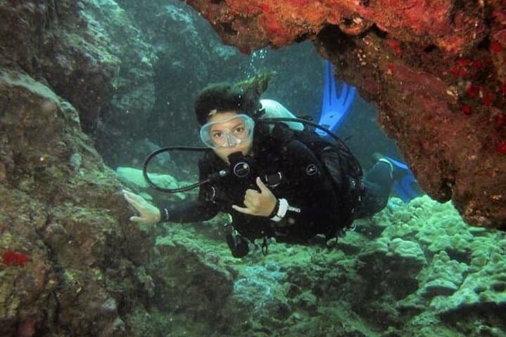 Two-Tank Shore Dive at Sea Turtle Cove — Hilo Guided Scuba Adventure photo 3
