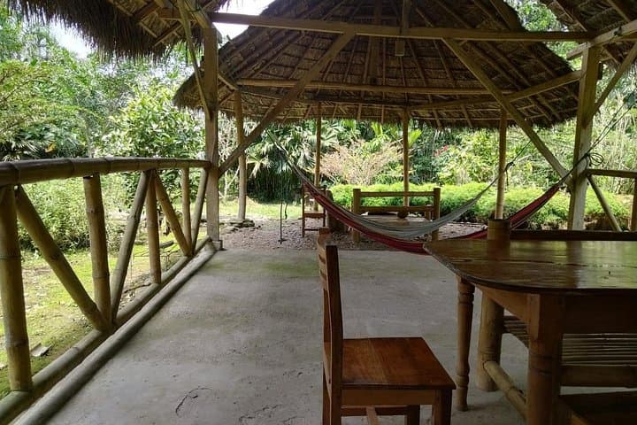 Cabañas Awana Private Amazon Tour: Kichwa Culture, Clay-Licks & Night Walks photo 3