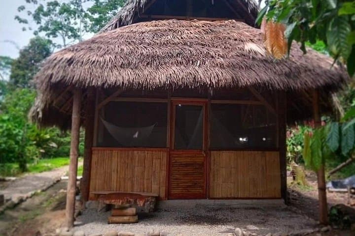 Cabañas Awana Private Amazon Tour: Kichwa Culture, Clay-Licks & Night Walks photo 4