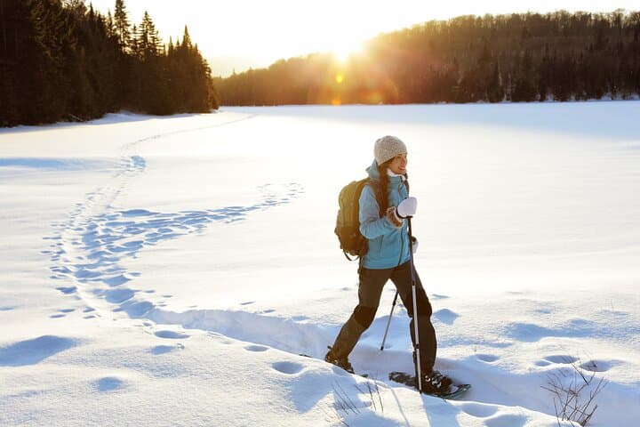 Half-Day Guided Snowshoe Tour Near Breckenridge: Summit County Backcountry photo 2