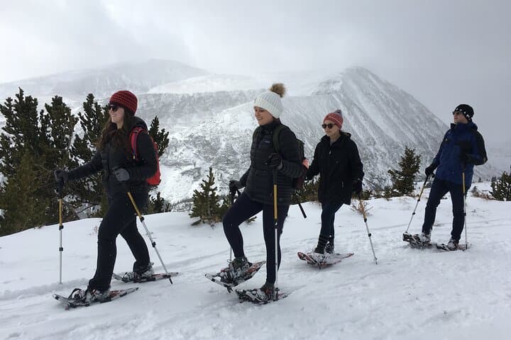 Half-Day Guided Snowshoe Tour Near Breckenridge: Summit County Backcountry