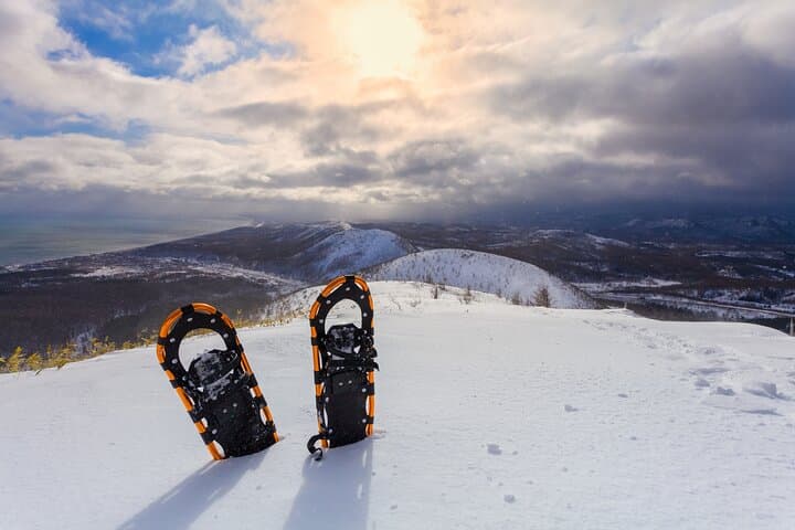 Half-Day Guided Snowshoe Tour Near Breckenridge: Summit County Backcountry photo 4