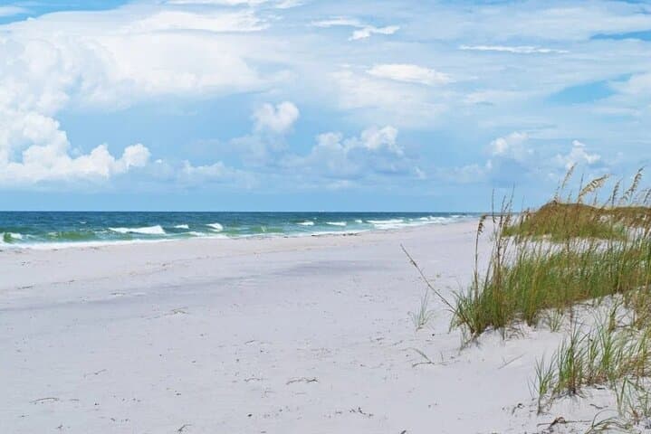 Shell Island Ferry from St. Andrews State Park — Day Trip to Panama City Beach's Wild Barrier Island photo 2
