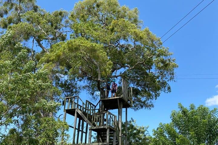 Puerto Plata City & Zipline Adventure from Amber Cove — Half-Day Shore Excursion photo 2