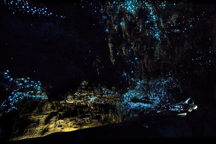LOTR Trollshaws & Waitomo Glowworm Cave Day Tour (12‑Hour) photo 4