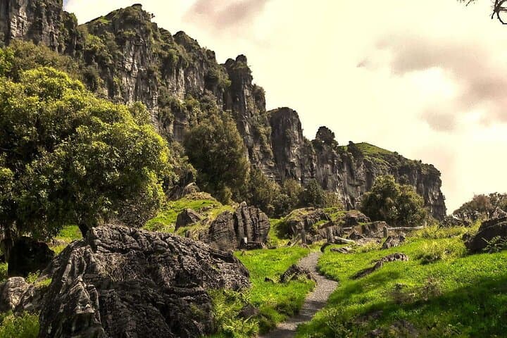 LOTR Trollshaws & Waitomo Glowworm Cave Day Tour (12‑Hour) photo 5