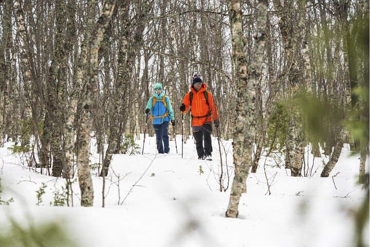 Half-Day Guided Snowshoe Tour Near Breckenridge: Summit County Backcountry photo 5