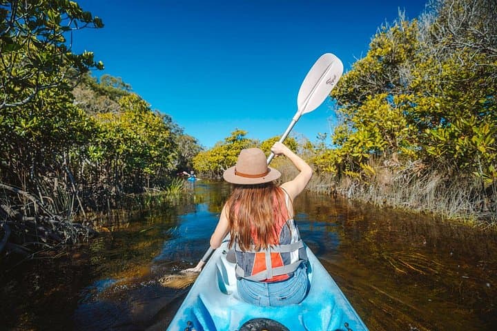 Remote Fraser Island Day Cruise — Snorkel, Kayak & Wildlife from Hervey Bay photo 3