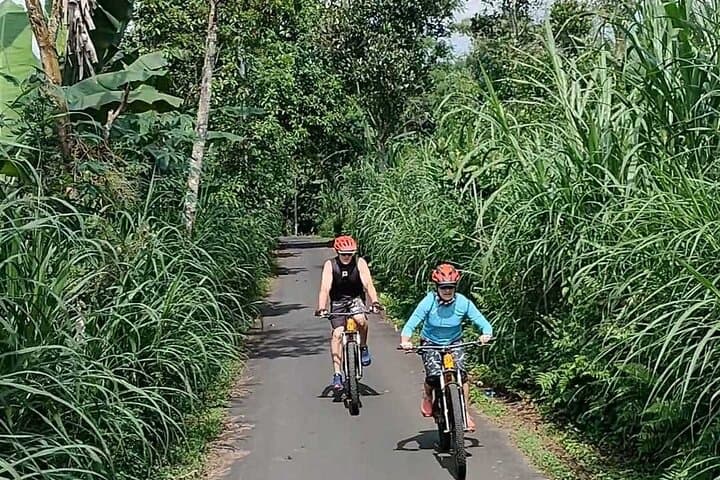Mount Batur to Ubud Off-Road Cycling Adventure – Volcano Views and Rice-Field Singletrack photo 4
