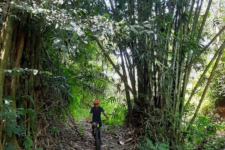 Secret Single Track MTB Adventure: Bedugul to Tabanan Mountain Bike Tour photo 2