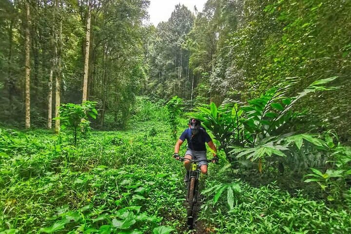 Secret Single Track MTB Adventure: Bedugul to Tabanan Mountain Bike Tour photo 3