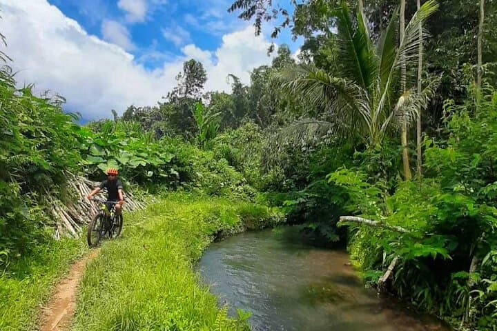 Secret Single Track MTB Adventure: Bedugul to Tabanan Mountain Bike Tour photo 4
