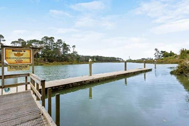 Paddle the Waitemata: Guided Riverhead Tavern Kayak Tour from Auckland photo 5