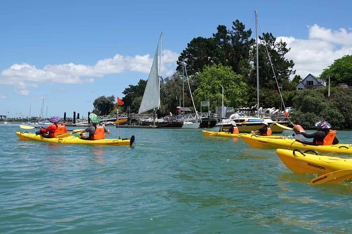 Paddle the Waitemata: Guided Riverhead Tavern Kayak Tour from Auckland photo 4