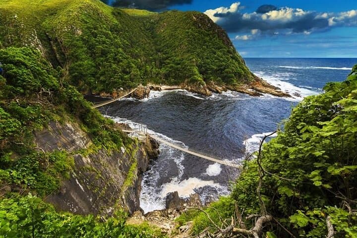 Full-Day Garden Route Safari: Tsitsikamma, Monkey Land & Jeffreys Bay from Port Elizabeth photo 2