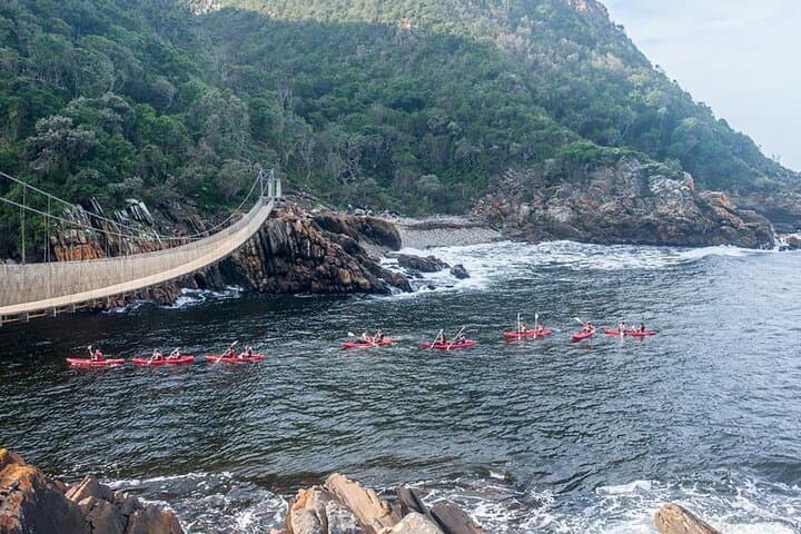 Full-Day Garden Route Safari: Tsitsikamma, Monkey Land & Jeffreys Bay from Port Elizabeth photo 3