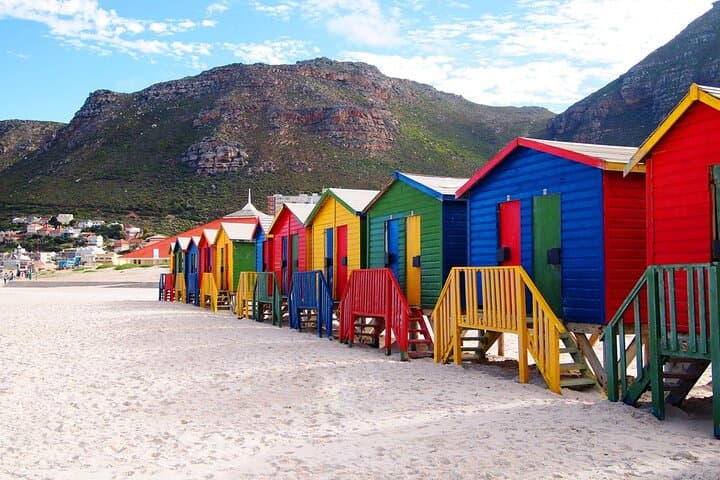 Boulder Beach Penguins and Cape Point Day Tour from Cape Town: A Coastal Wildlife Experience photo 4