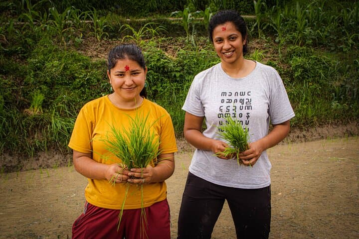 3-Day Nagarkot Ropain Festival: Guided Rice-Planting & Village Hike photo 2