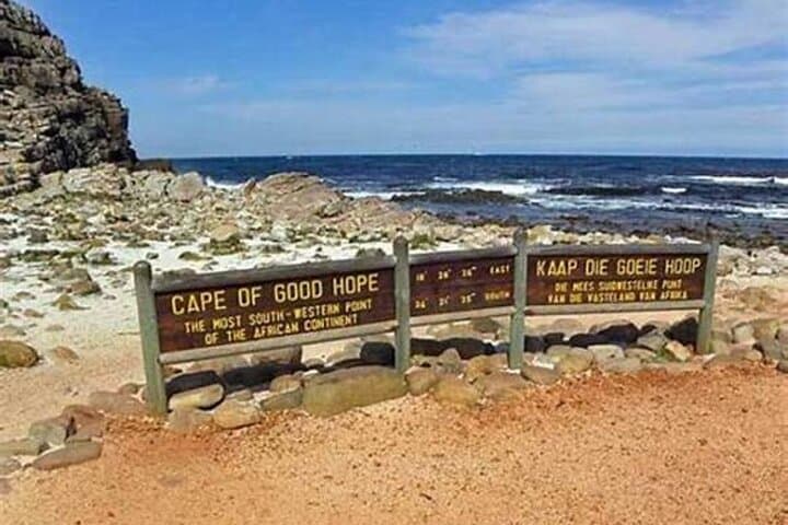 Private Full Day Cape Peninsula Tour — Chapman's Peak, Boulders Beach & Cape Point photo 2