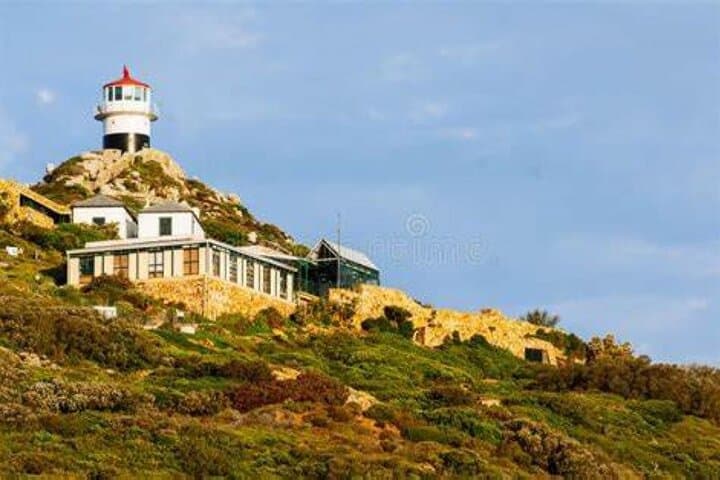 Private Full Day Cape Peninsula Tour — Chapman's Peak, Boulders Beach & Cape Point photo 4