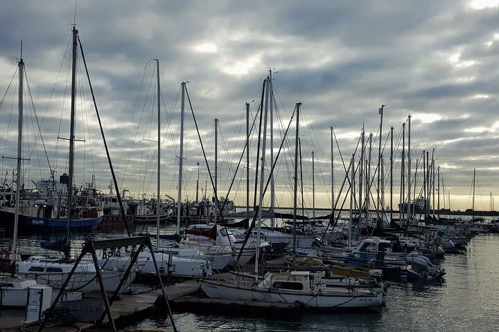Private Full Day Cape Peninsula Tour — Chapman's Peak, Boulders Beach & Cape Point photo 6
